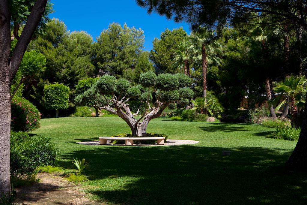 Jardines De Amaltea Hotel Lorca  Ngoại thất bức ảnh